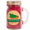 Christmas Candle Essentials® Candle